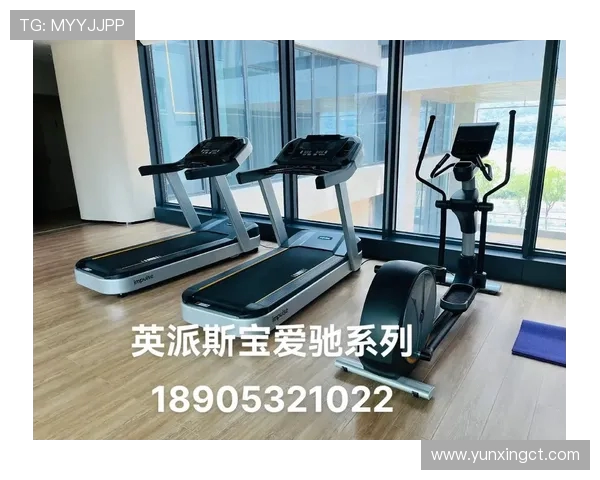 英派斯健身器材多功能产品介绍