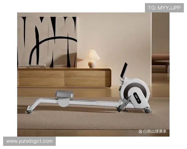 高效燃脂必备：五大有氧健身器材深度测评