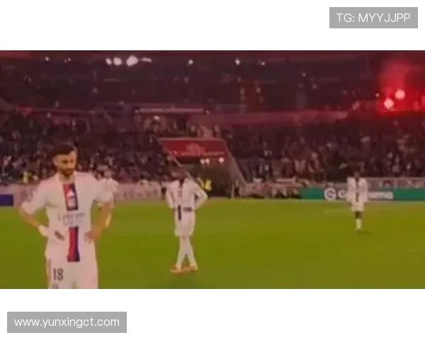 法甲球迷观赛体验排名及最佳主场氛围调查