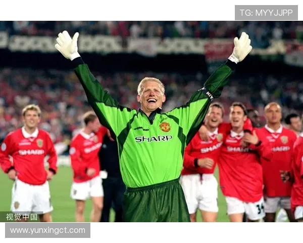 英超效力的冰岛球员名单及表现回顾